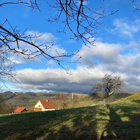 Nature Homestay Trenčín Dış mekan fotoğraf
