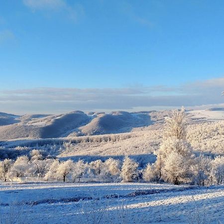 Nature Homestay Trenčín Dış mekan fotoğraf