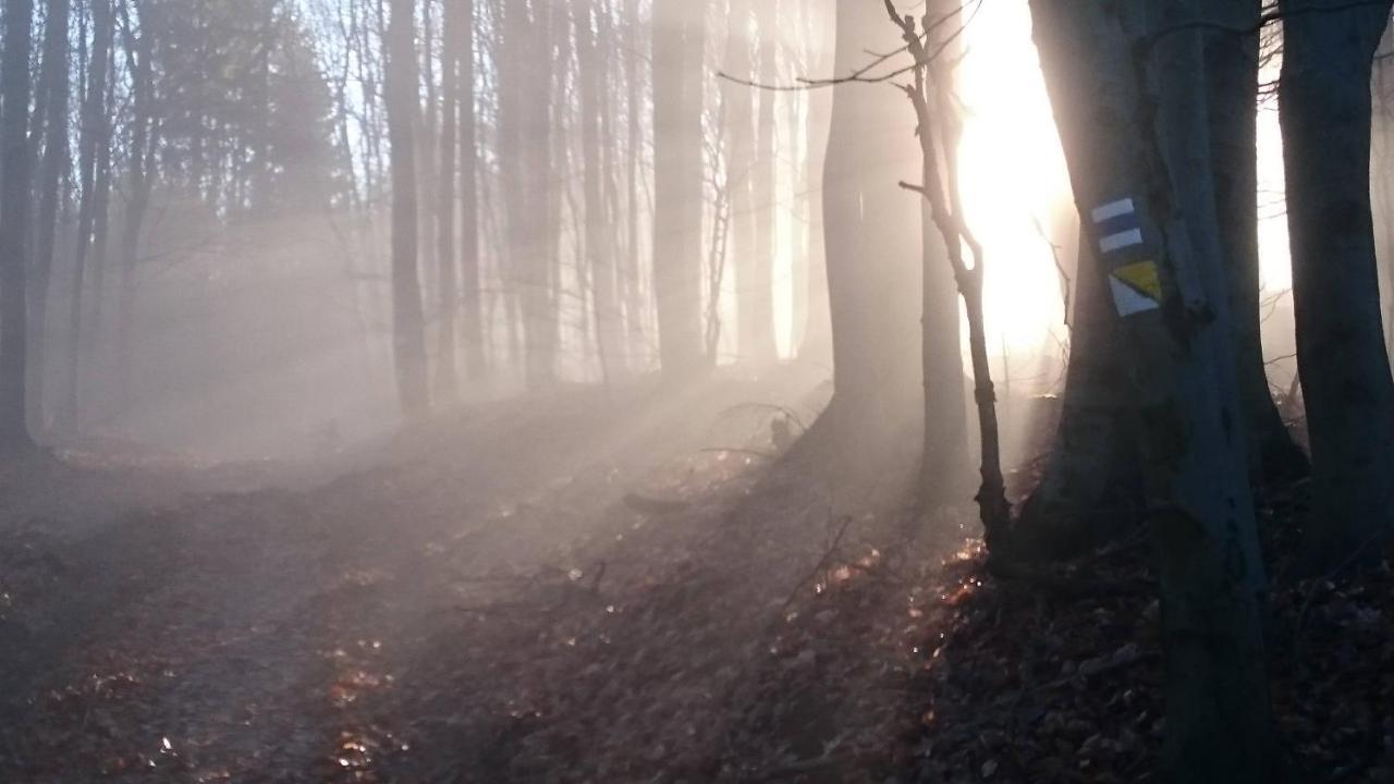 Nature Homestay Trenčín Dış mekan fotoğraf
