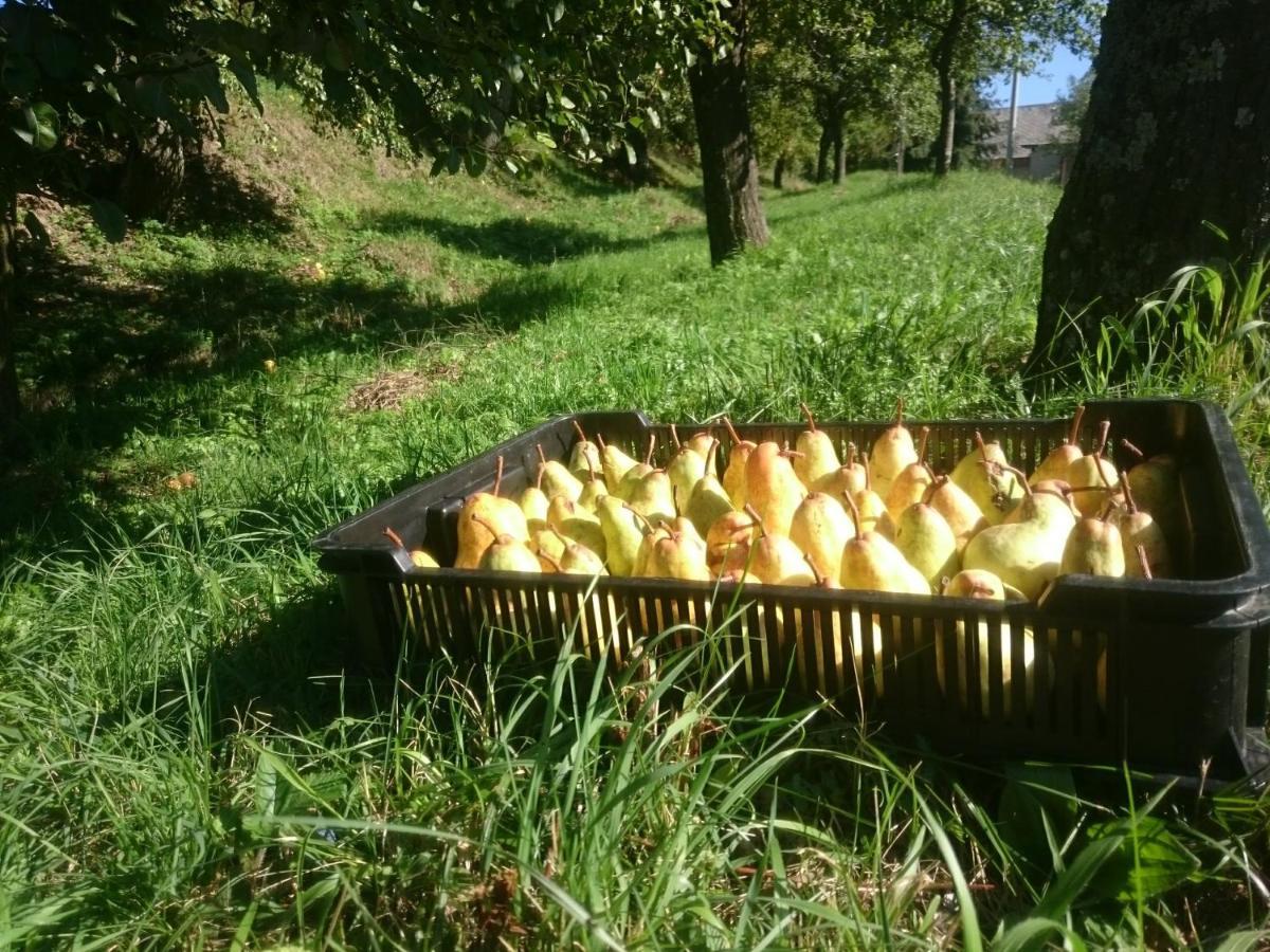 Nature Homestay Trenčín Dış mekan fotoğraf