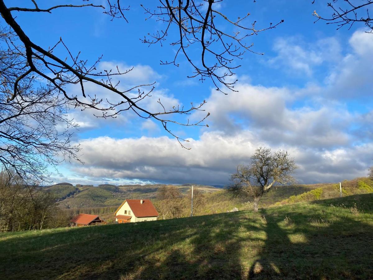 Nature Homestay Trenčín Dış mekan fotoğraf