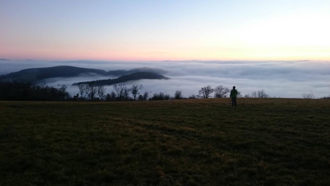 Nature Homestay Trenčín Dış mekan fotoğraf
