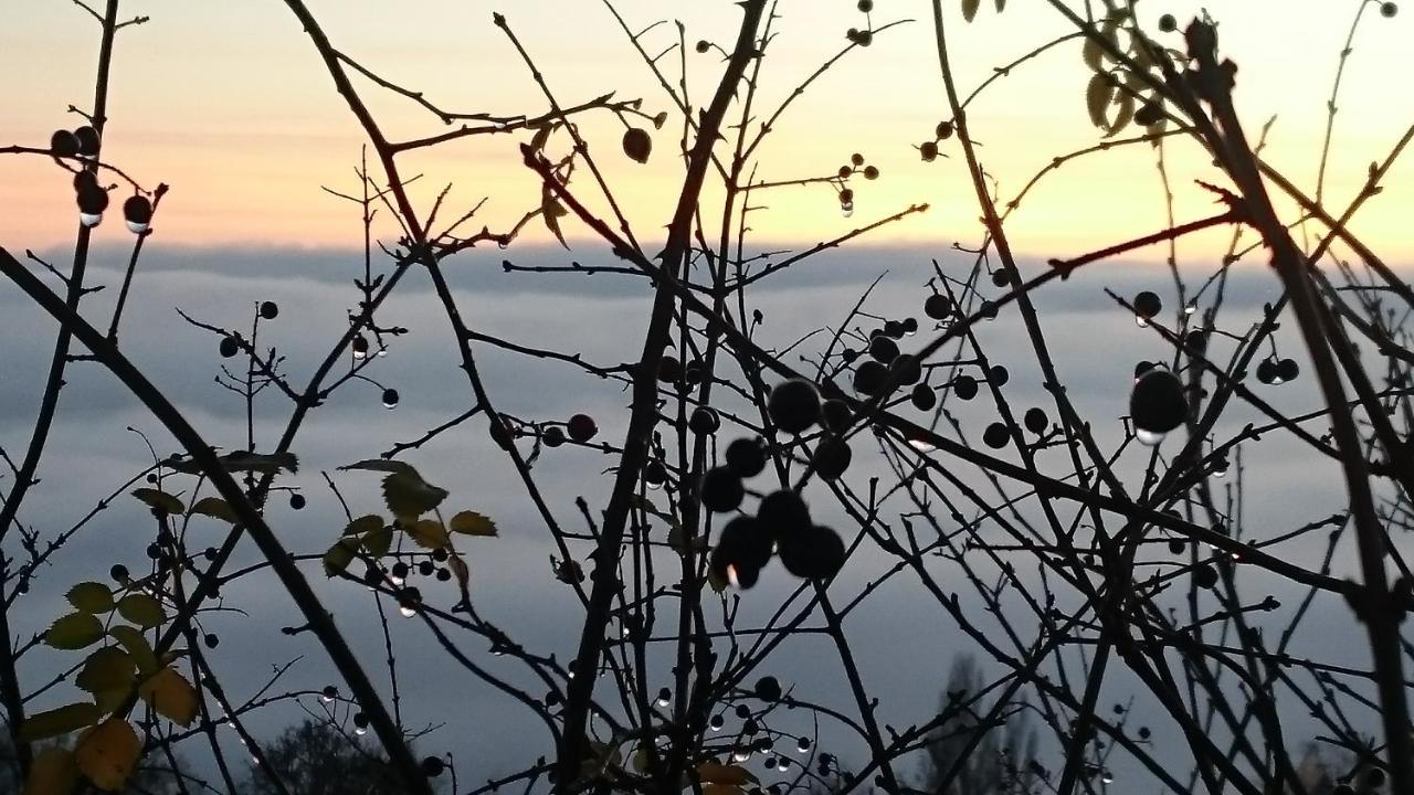 Nature Homestay Trenčín Dış mekan fotoğraf