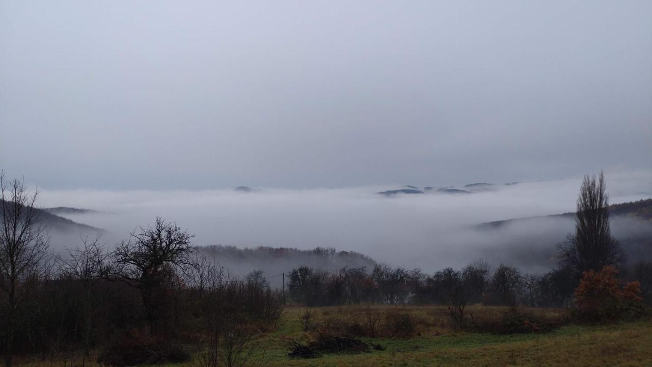 Nature Homestay Trenčín Dış mekan fotoğraf