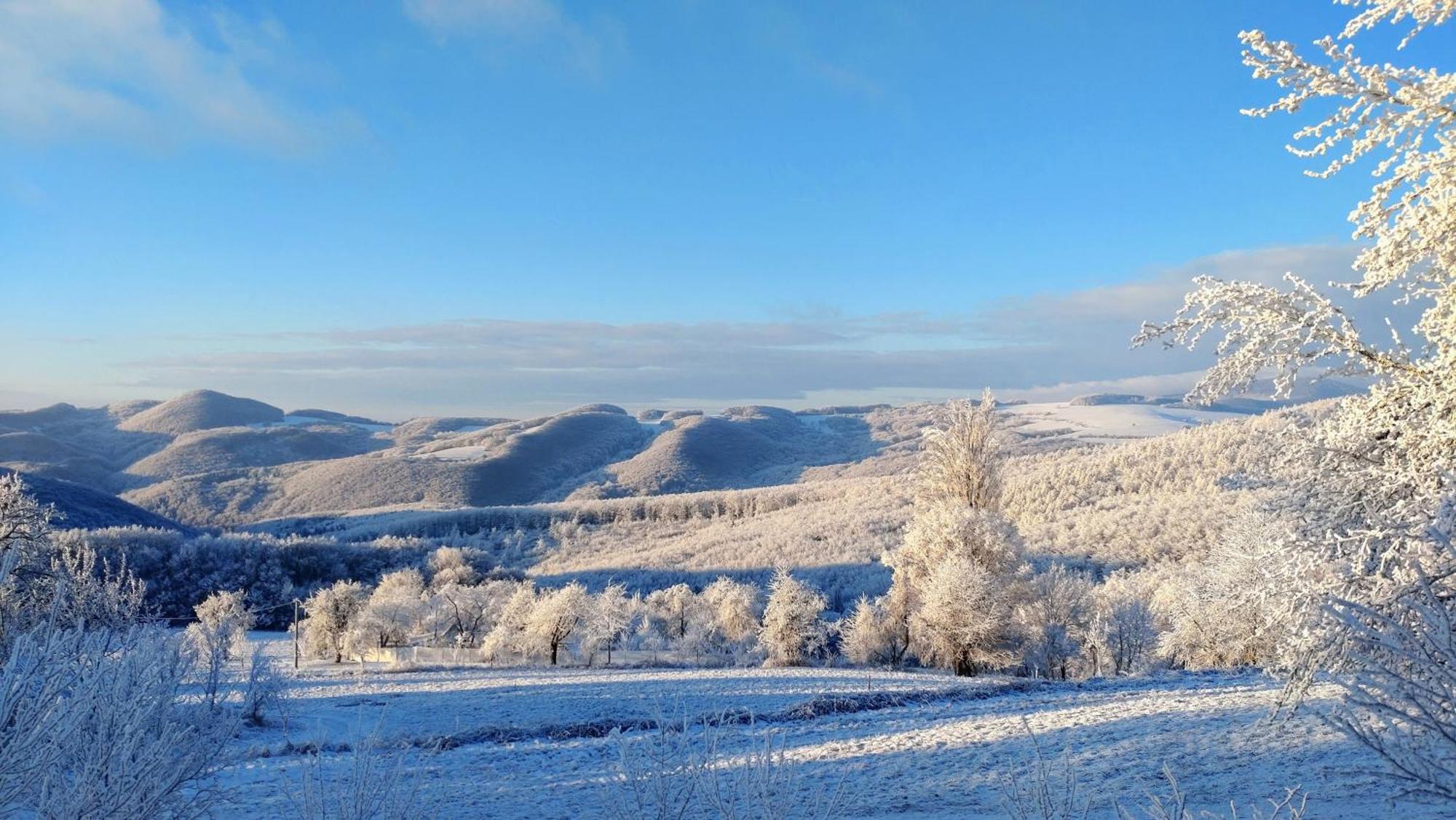 Nature Homestay Trenčín Dış mekan fotoğraf